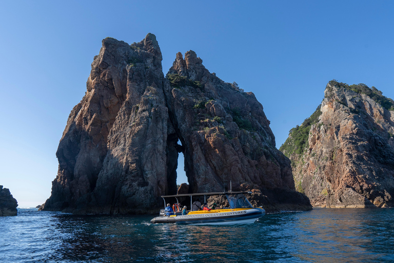 Ex Auckland Excursión de un día a las ISLAS ALDERMAN y la AVENTURA DE RUAMAAHU