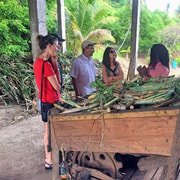 Cheap Grenada: Rum Distillery Tour and Tastings