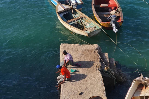 Mombasa: Tour di un giorno della città: Storia/Arte/Selvaggio