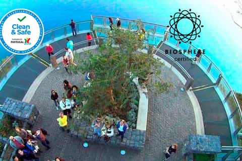 Madeira: Cliffs and Valleys Open Roof 4x4 Tour from Funchal