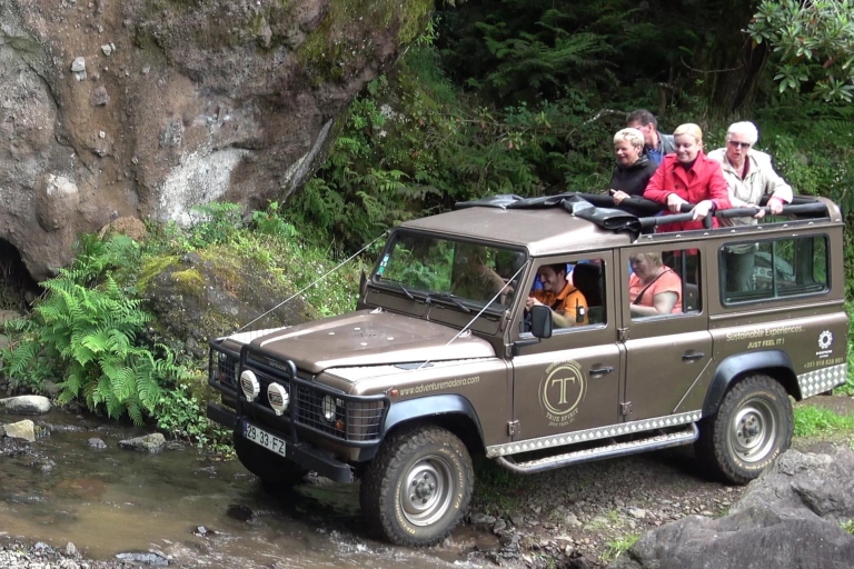 Vanuit Funchal: kliffen en valleien in Madeira met een 4x4Vanuit Funchal: naar kliffen en valleien in Madeira per Jeep