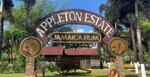Appleton Rum Factory and Black River Safari Tour
