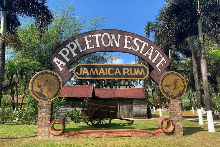 Appleton Rum Factory and Black River Safari Tour From Negril