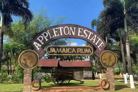 Appleton Rum Factory and Black River Safari Tour