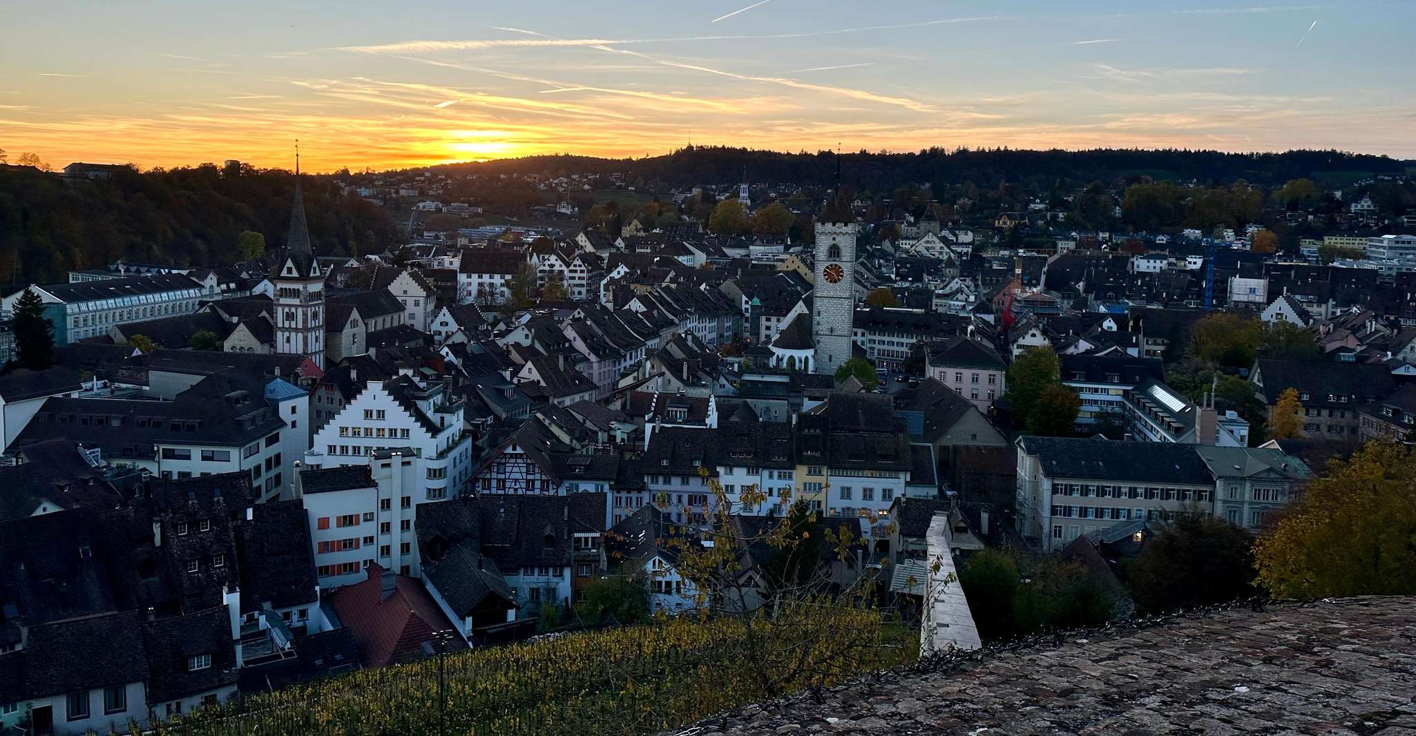 Basel, Schaffhausen & the Rhine's Largest Falls Private Tour - Housity