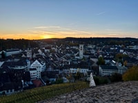 Basel, Schaffhausen & The Rhine's Greatgest Falls Private Tour - Housity