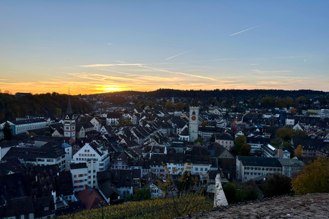 Basiléia: Schaffhausen e as maiores quedas do Reno Tour particularBasiléia: Schaffhausen e as maiores quedas do Reno - excursão particular