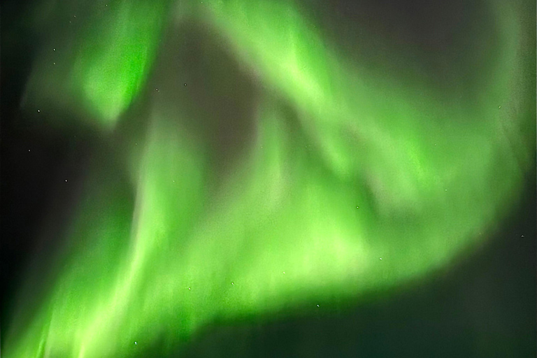 Rovaniemi: Guaranteed Northern Lights & Photography Tour