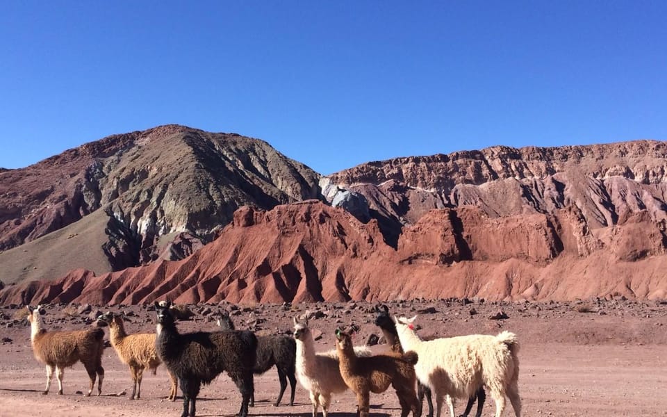 Rondleiding Valle del Arcoíris + Petroglifos ( Yerbas Buenas ...