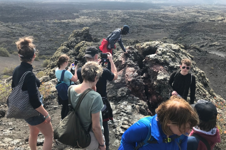 Lanzarote: tour de senderismo volcánicoLanzarote: Excursión de Senderismo al Volcán con Traslado