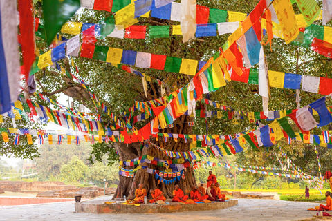 Buddhist Pilgrimage: 6-Day Sacred Journey Private Tour with A/C transport and Dedicated Driver.