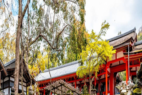 Discover Nara: The City of Deer, Temples & Timeless Beauty