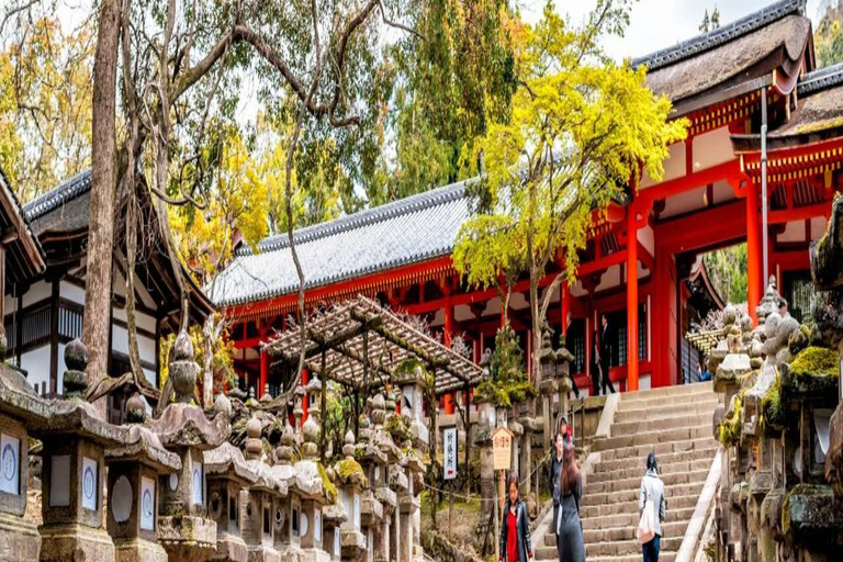 Discover Nara: The City of Deer, Temples & Timeless Beauty