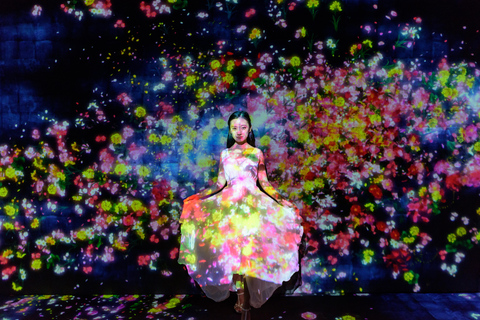 Tokyo: 4-Hour TeamLab Planets & Asakusa Express Tour