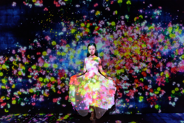 Tokyo: 4-Hour TeamLab Planets & Asakusa Express Tour