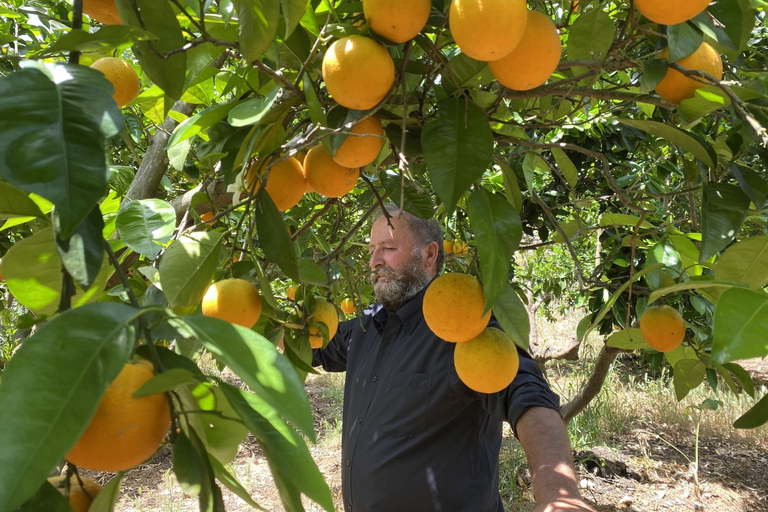 Van Rethimno: privérondleiding door traditioneel Kreta en keuken