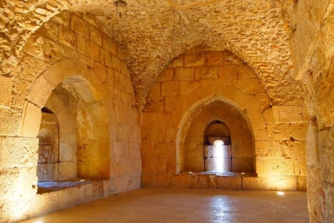 Van Amman: Sightseeingtour naar Ajlun en Jerash