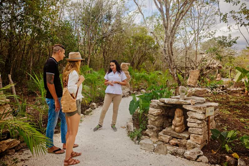 Cozumel: General Entrance to Mayan Bee Sanctuary | GetYourGuide