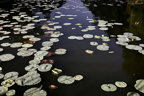 Kandy to Sigiriya Motorbike Adventure Tour