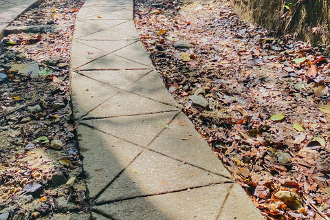 From Santa Marta: Minca and Coffee and Cacao Tour with Lunch Minca Magic and exotic Coffee and Cacao Tour