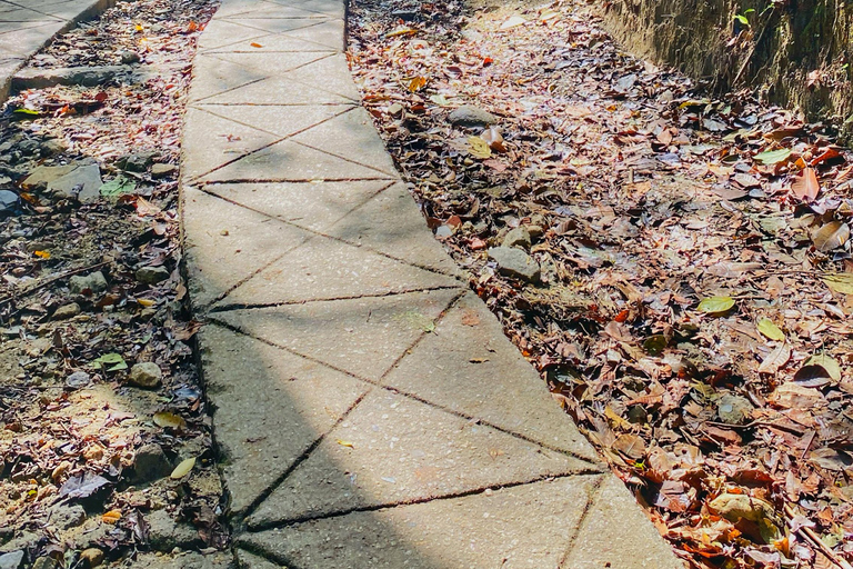 From Santa Marta: Minca and Coffee and Cacao Tour with Lunch Minca Magic and exotic Coffee and Cacao Tour