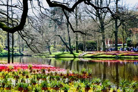 Day Trip to Keukenhof Flower Park