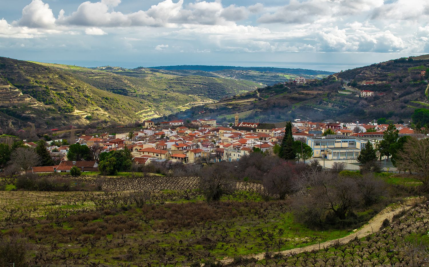 Zypern: Essen & Weinprobe im Troodos-Gebirge mit Mittagessen