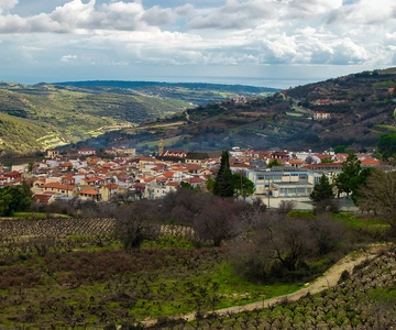 Cyprus: Troodos Mountain Food & Wine Tasting Tour with Lunch