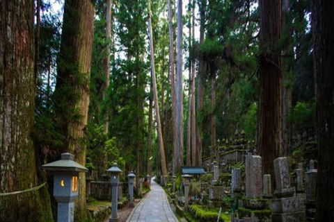 Wakayama: Private Tour to Nachi Falls & Mount Koya