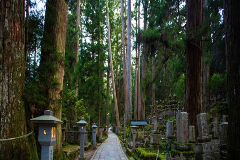 Wakayama: Private Tour to Nachi Falls & Mount Koya