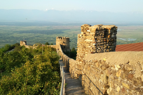 From Tbilisi: Kakheti Wine, Cheese and Bread-making Day Trip