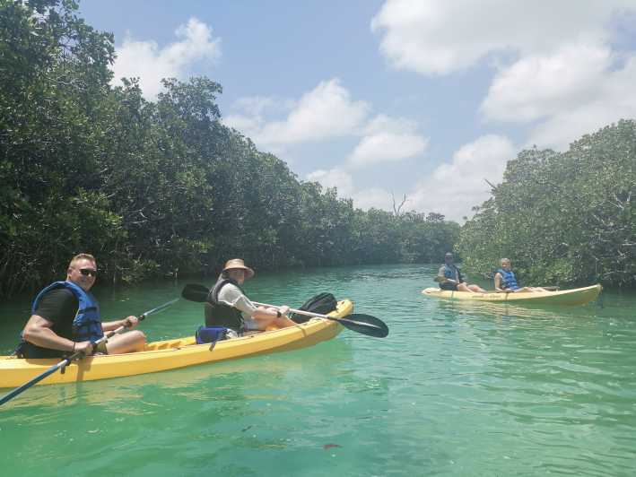 tours en kayak cancun
