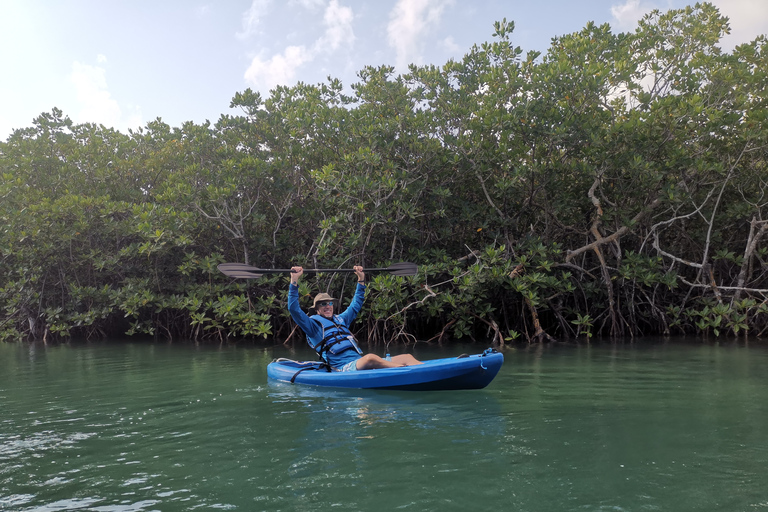 Cancun: 3-Hour Kayak Tour in Nichupte Lagoon