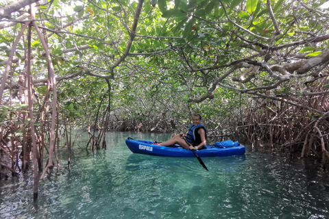 Cancun: 3-uur durende kajaktocht in Nichupte Lagoon