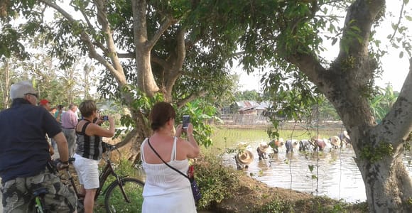 Geführte Radtour durch die Farben von Chiang Mai