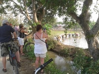 Colori di Chiang Mai Tour Guidato in Biciclette - Hizvo