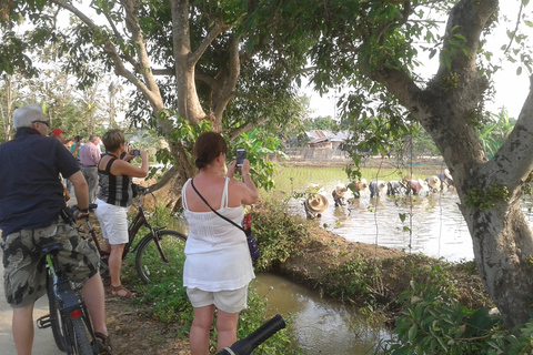 Färgerna i Chiang Mai Guidad cykelturColors of Chiang Mai Private Tour