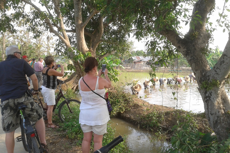 Visite guidée à vélo des couleurs de Chiang MaiVisite en groupe des couleurs de Chiang Mai