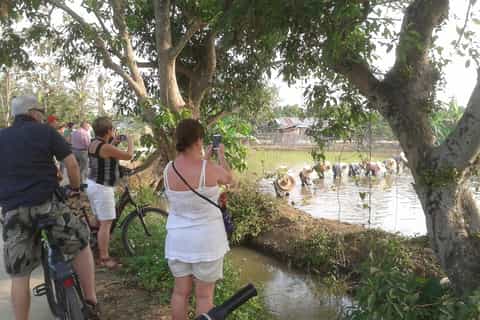 Colors of Chiang Mai Guided Bicycle Tour
