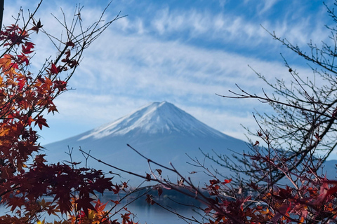 Tokyo: Private Daytrip to Mount Fuji - Fully Customizable Mt Fuji Private Luxury Van Tour (Customizable Experience)