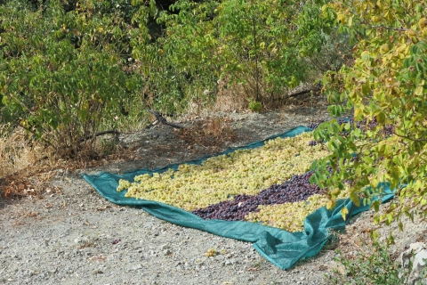 Chypre: visite des villages et des vignobles des montagnes TroodosDe Protaras: visite des villages et des vignobles des montagnes Troodos