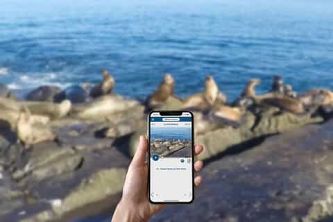 La Jolla: Ultimate Self-Guided Combo Tour