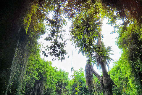 Discover Musanze: Caves, gorillas Culture & City Life Tour Discover Musanze: Caves, Gorillas, Culture & City Life Tour