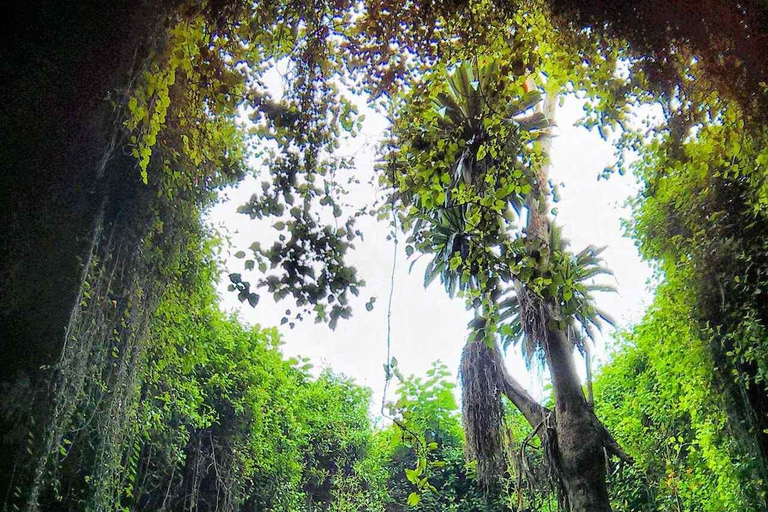 探索穆桑泽：洞穴、大猩猩文化和城市生活之旅探索穆桑泽：洞穴、大猩猩、文化和城市生活之旅