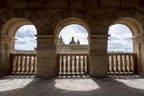 Salamanca: Monterrey Palace Audio-Guided Tour
