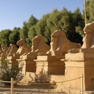 Hurghada: tour guidato privato di un giorno a Luxor