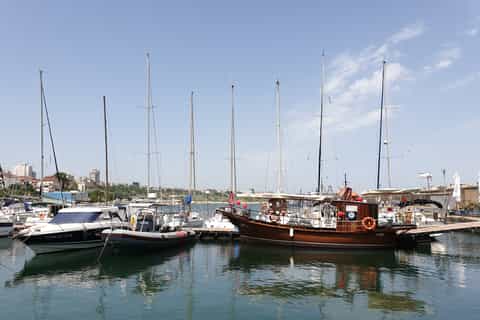 Cruises & boat tours