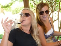 From San Gimignano, Half-Day Chianti Wine tour - Housity