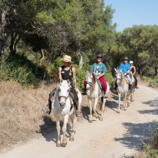Mallorca: paardrijexcursie en wijnproeverij