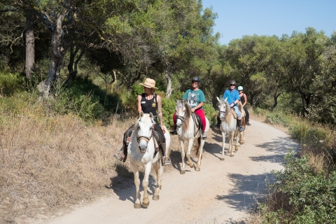 Mallorca: excursión a caballo y cata de vinos